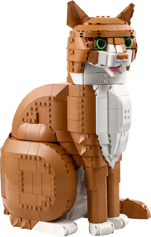 21376_Prod